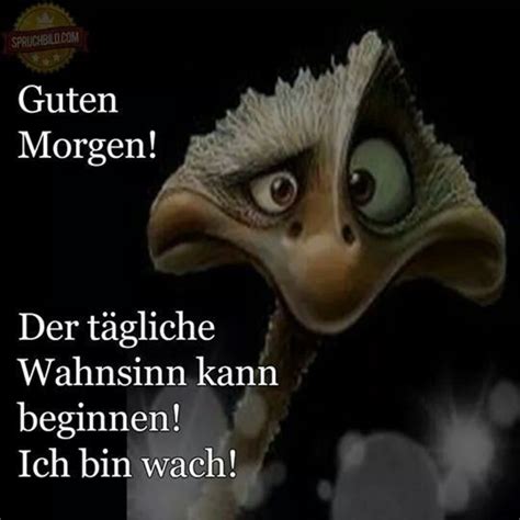 lustige guten morgen spruch